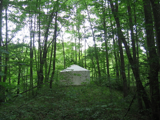 yurt